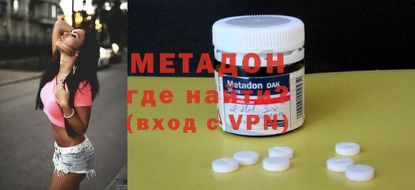 прущие грибы Каменногорск