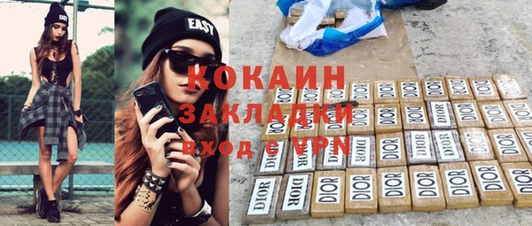прущие грибы Каменногорск