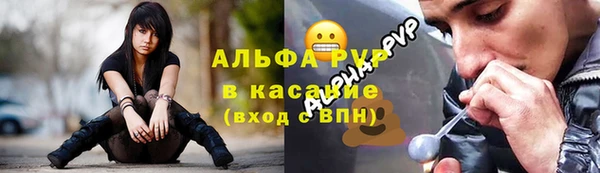 прущие грибы Каменногорск