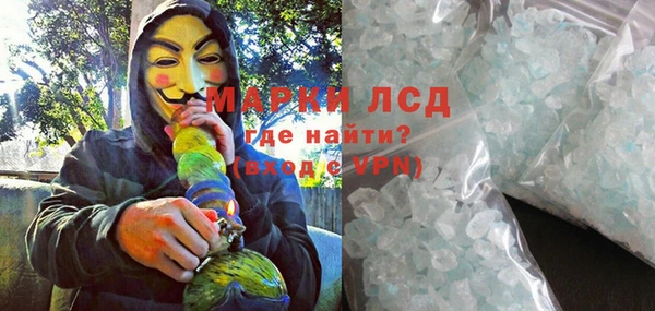 прущие грибы Каменногорск