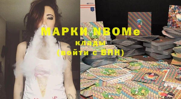 прущие грибы Каменногорск