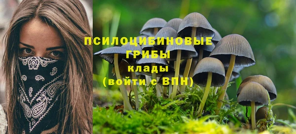 твердый Каменск-Шахтинский