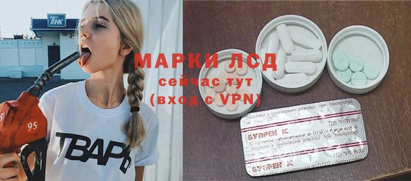 прущие грибы Каменногорск