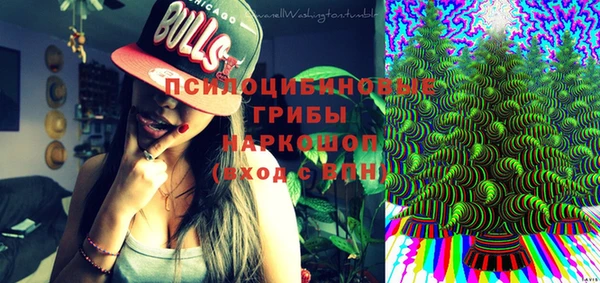 твердый Каменск-Шахтинский