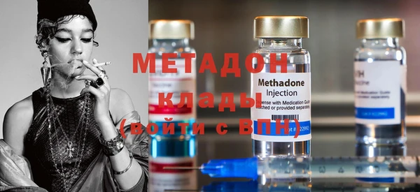 прущие грибы Каменногорск