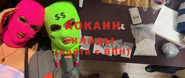 твердый Каменск-Шахтинский