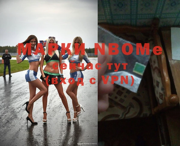 прущие грибы Каменногорск