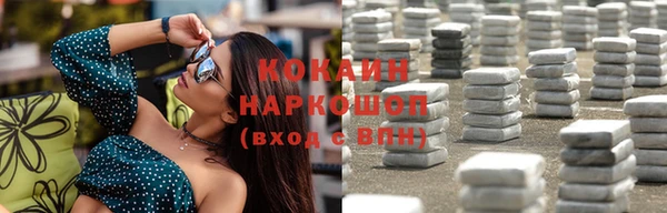 прущие грибы Каменногорск