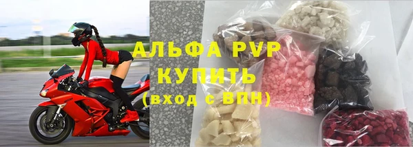 прущие грибы Каменногорск