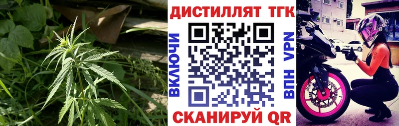 Купить где  Гремячинск  ТГК концентрат 