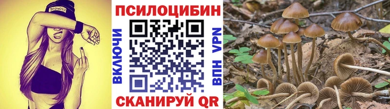 Купить  Гремячинск  Галлюциногенные грибы GOLDEN TEACHER 